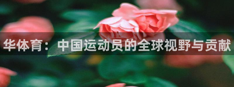 华体育：中国运动员的全球视野与贡献